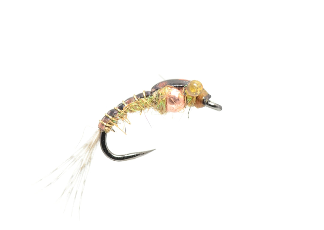 Chimera Callibaetis