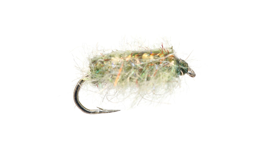 Gut Sack Sow Bug Olive