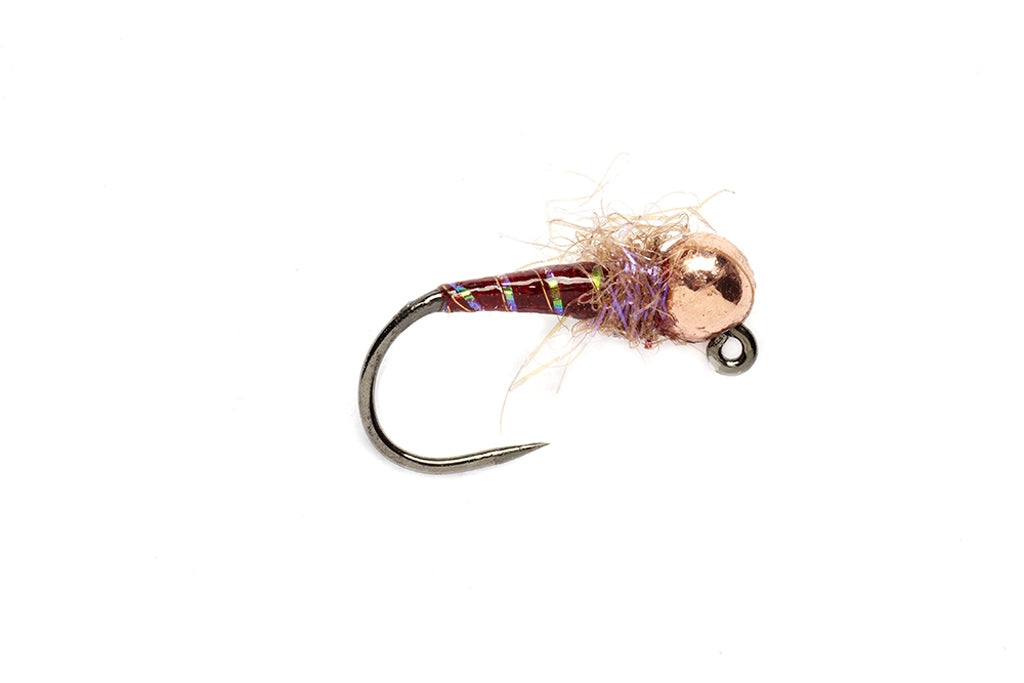 Espresso Midge Claret
