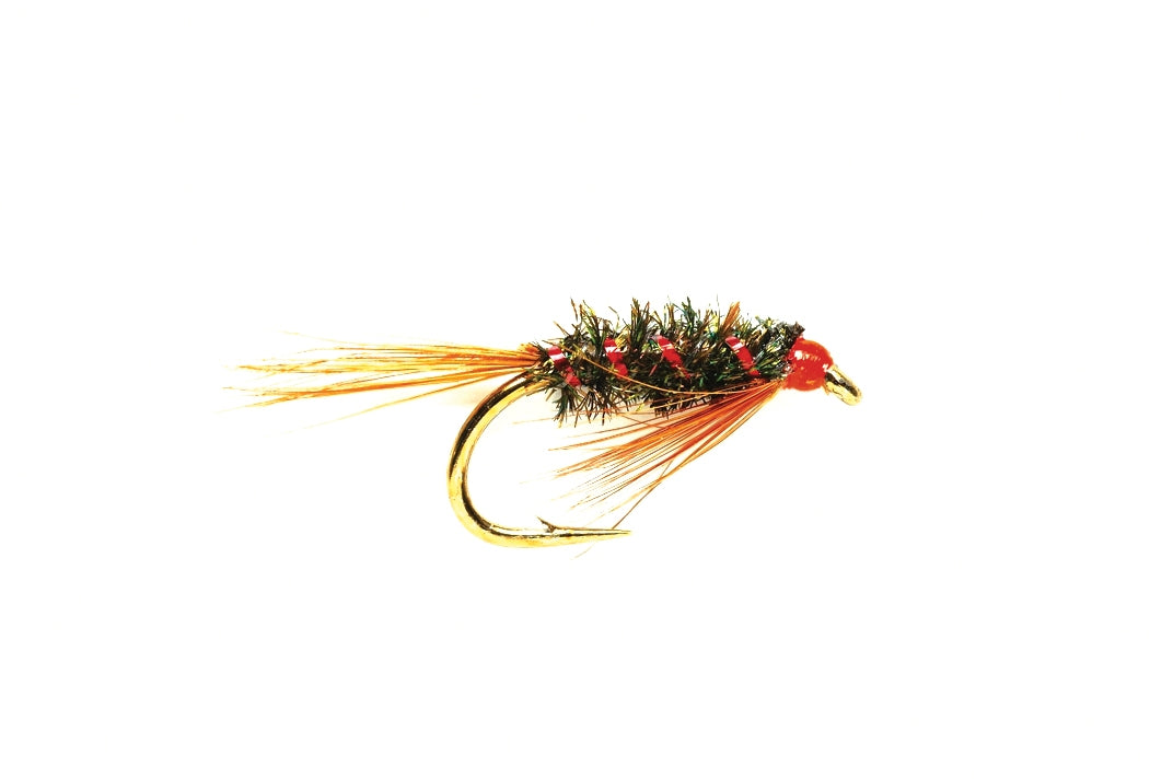 Hot Head Diawl Bach