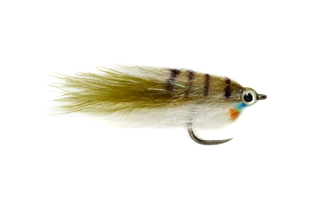 Baby Fat Minnow Bluegill - 8