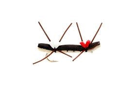 Chernobyl Ant