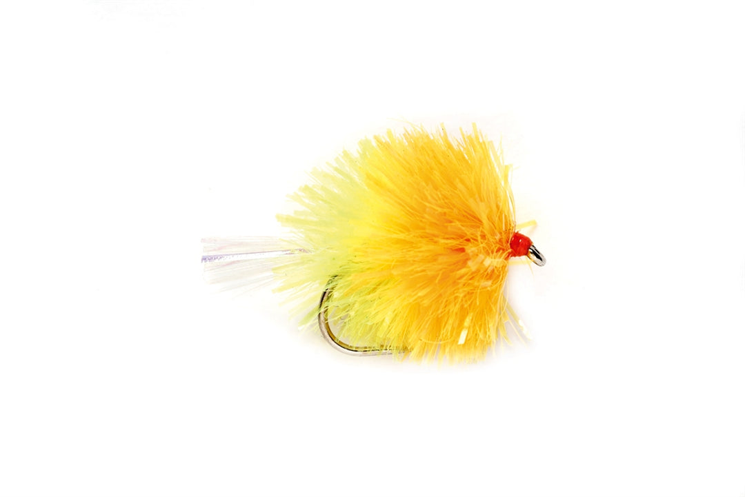 Blob - Cocktail Sunburst