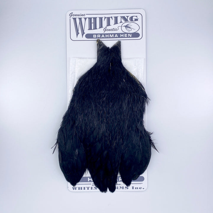Whiting Brahma Hen Cape for Soft Hackles