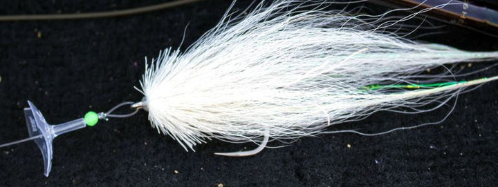 Wigglefin Action Discs