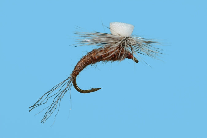 Brook's Sprout - Callibaetis