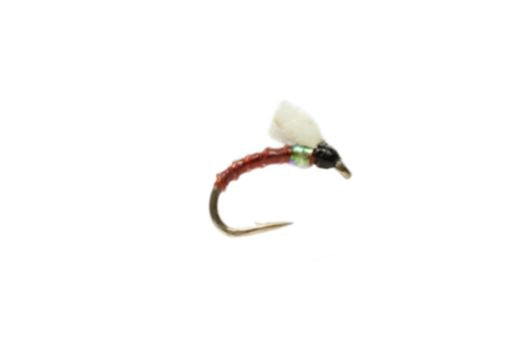Boroff's Foamie Homie - Brown