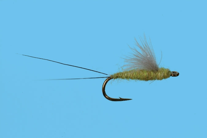 RS2 - Olive