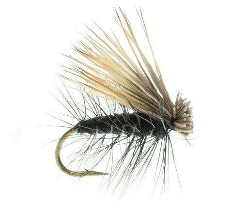 Elk Caddis Black