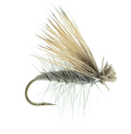 Elk Caddis Dun