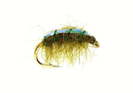 Flashback Shrimp