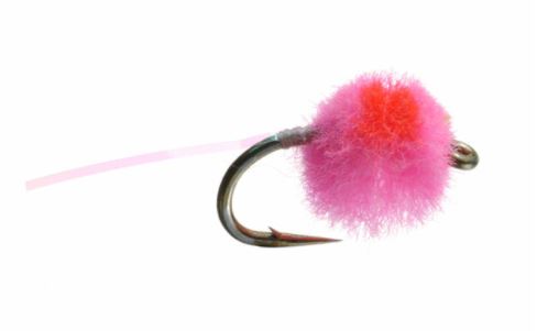 Flashtail Mini Egg - Pink