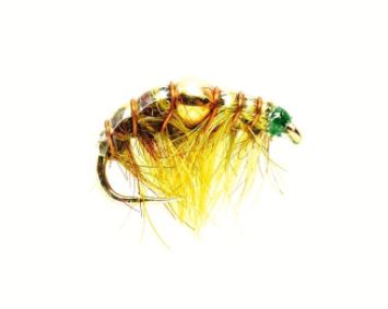 Golden Nugget Shrimp Olive