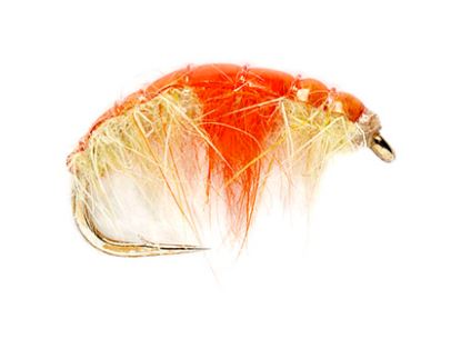 Hot Spot Shrimp
