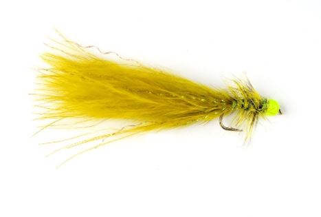 Hot Taddy Olive & Green