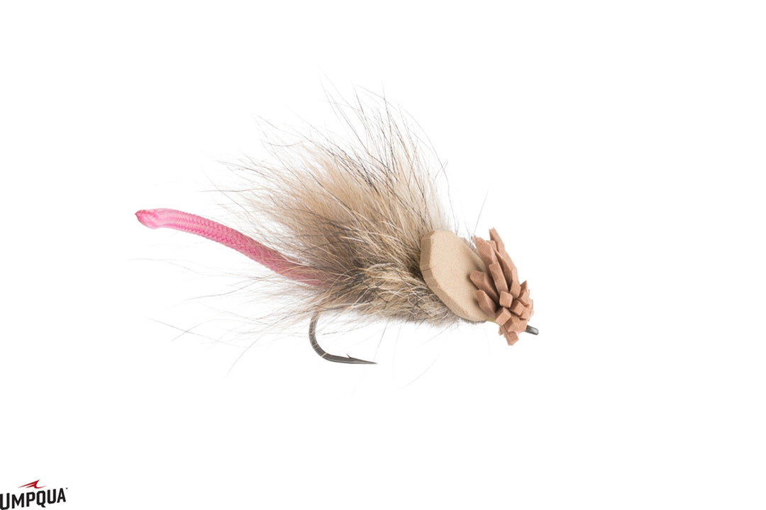 King Rat