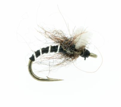 Massacre Midge - Black