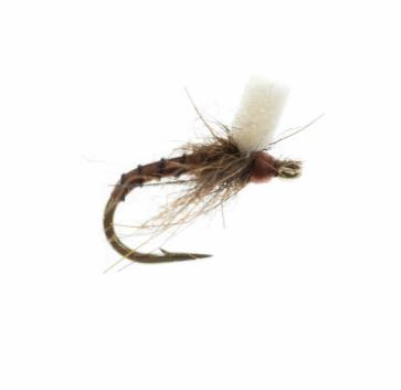 Massacre Midge - Brown