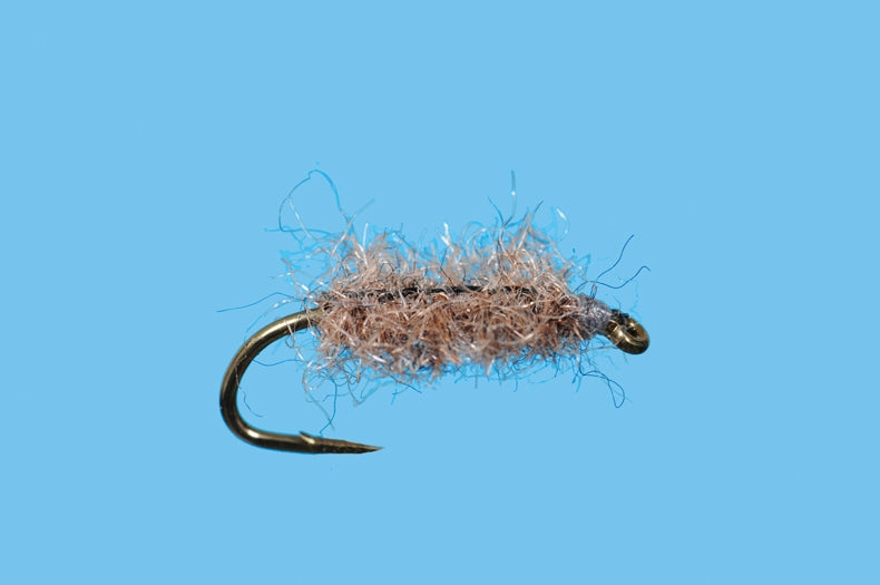 Hare Sow Bug - Dark