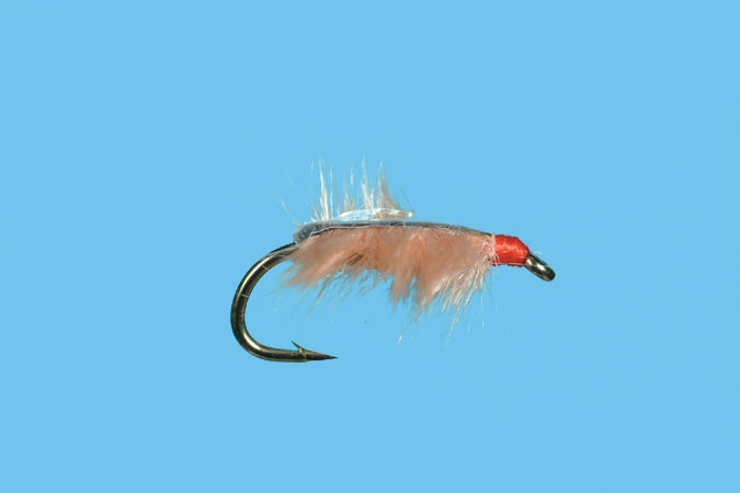 Sow Bug - Tan
