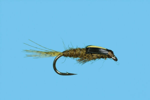 Split Case - BWO