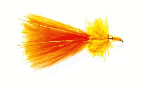 Nomad Orange