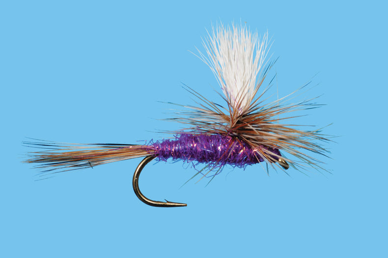 Para Adams - Sparkle Purple