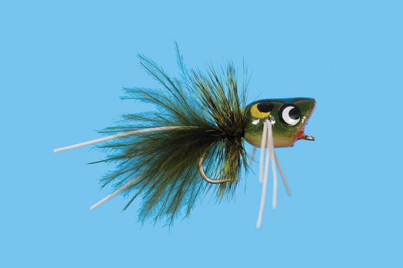 Mini Froggy