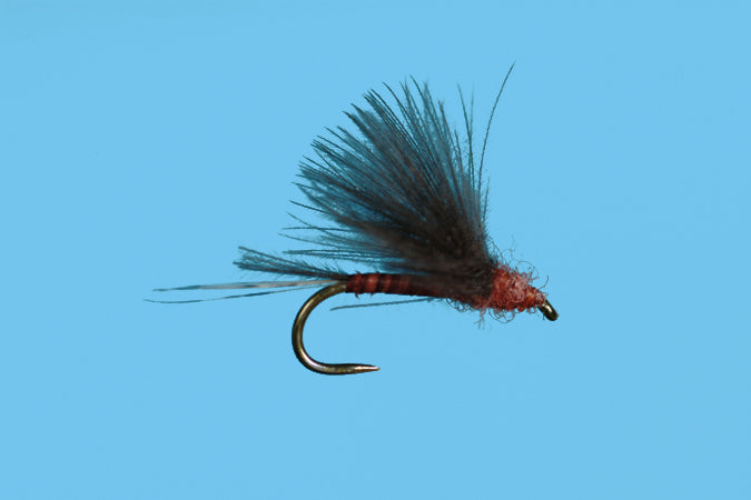 Harrop's CDC Biot Dun - Mahogany