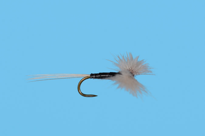 CDC Trico Spinner – Fly Fish Food