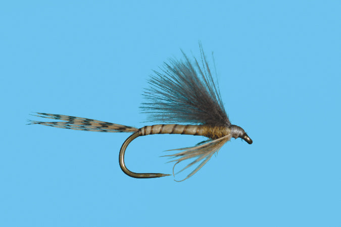 Harrop's CDC Biot Emerger - Flavilinea