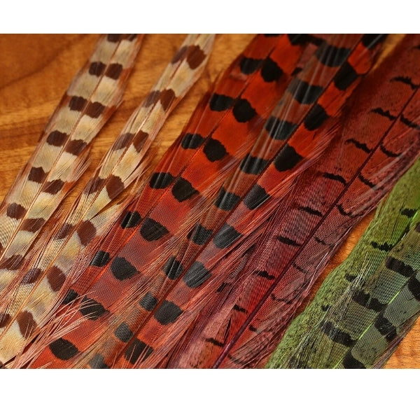 UV2 Ringneck Pheasant Tail