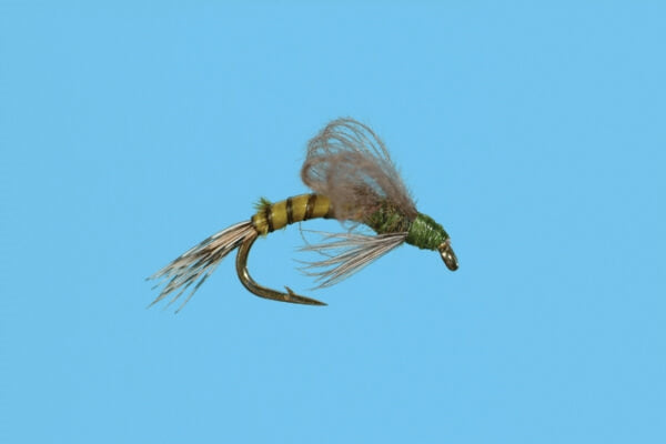 Loop Wing Emerger - Olive