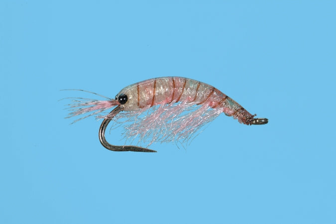 Ultra Scud - Pink