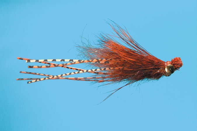 Crazy Dad Streamer sz 8 - Pumpkin