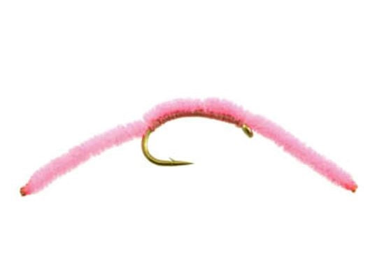 San Juan Worm - Shell Pink