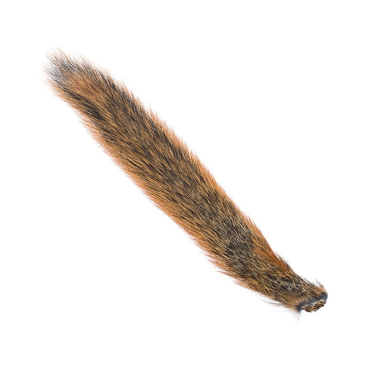 Squirrel Tail