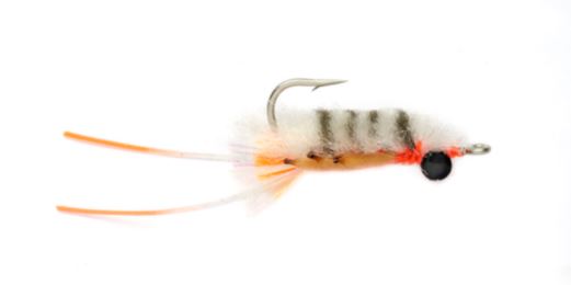 Sand Flea - White & Gray
