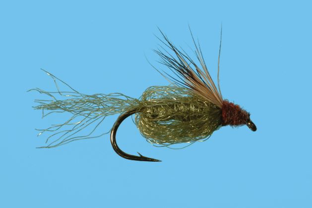 Sparkle Pupa - Olive
