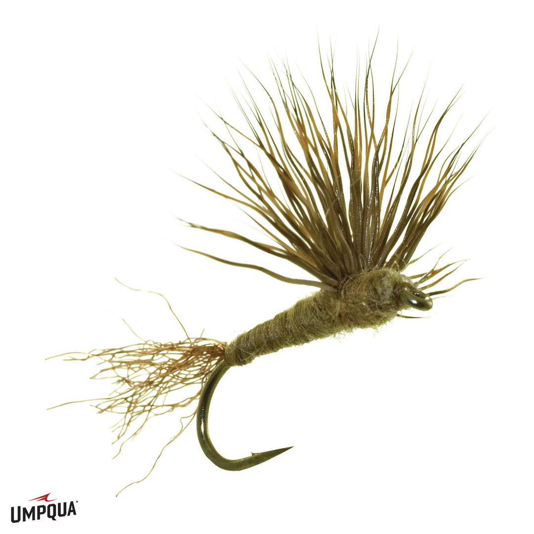Sparkle Dun Baetis - Olive