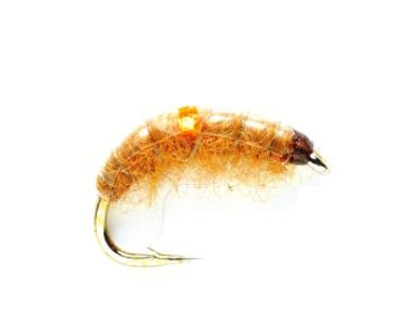 Tan Shrimp