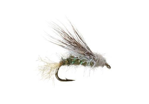 Blue Ribbon's X2 Caddis - Olive