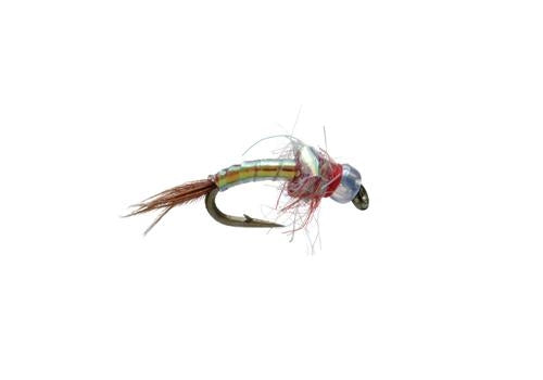 Egan's Rainbow Warrior - Red