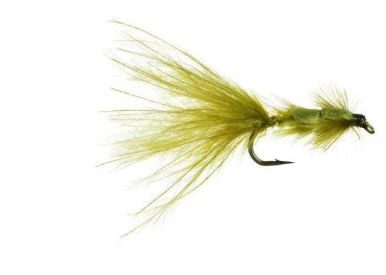 Zach Attack Damsel - Olive - 14