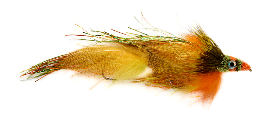 Mini Drunk & Disorderly Firetiger Size 4