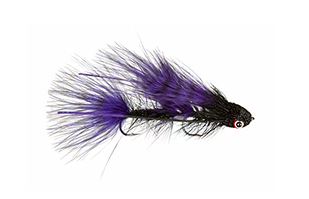 Galloup's Barred Mini Dungeon - Black/Purple