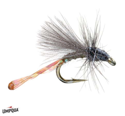 Morgan's Midge - Dark