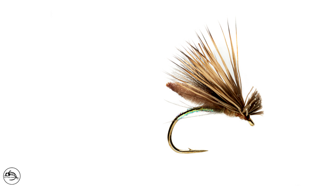 Palomino Caddis - Tan