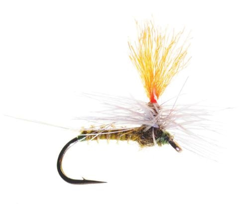 Bear's Hi-Viz Parachute Olive