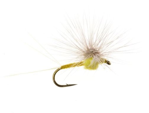 Hackle Stacker Quigley PMD
